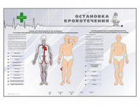 Электрифицированный стенд "Остановка кровотечения" - fgospostavki.ru - Тамбов