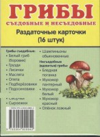 Раздаточные карточки "Грибы съедобные и не съедобные" - fgospostavki.ru - Тамбов
