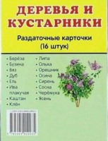 Раздаточные карточки "Деревья и кустарники" - fgospostavki.ru - Тамбов