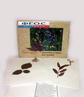 Гербарий "Дикорастущие растения" (28 видов) - fgospostavki.ru - Тамбов