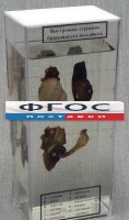 Влажный препарат "Внутреннее строение брюхоногого моллюска" - fgospostavki.ru - Тамбов