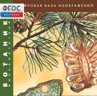 Ботаника. Микрофотографии. (Цифровая база изображений) - fgospostavki.ru - Тамбов