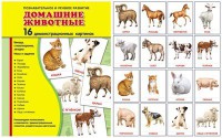 Демонстрационные карточки "Домашние животные" - fgospostavki.ru - Тамбов