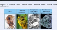 Интерактивные курсы. Биология 5 класс. Расширенный - fgospostavki.ru - Тамбов