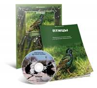Электронное наглядное пособие «Птицы» - fgospostavki.ru - Тамбов