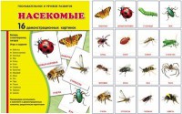 Демонстрационные карточки "Насекомые" - fgospostavki.ru - Тамбов