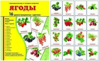 Демонстрационные карточки "Ягоды" - fgospostavki.ru - Тамбов
