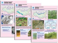 Комплект таблиц по географии "Природные зоны России" раздаточные (цветные, ламинированные, А4, 10 штук) - fgospostavki.ru - Тамбов