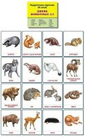 Раздаточные карточки "Дикие животные (1)" - fgospostavki.ru - Тамбов