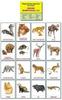 Раздаточные карточки "Дикие животные (2)" - fgospostavki.ru - Тамбов