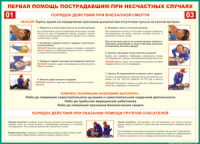 Таблица "Порядок действий при внезапной смерти" (100х140 сантиметров, винил) - fgospostavki.ru - Тамбов
