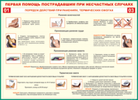 Таблица "Порядок действий при ранениях и термических ожогах" (100х140 сантиметров, винил) - fgospostavki.ru - Тамбов