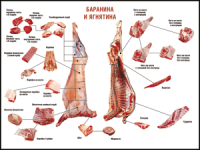 Таблица "Правила разделки мясных туш. Баранина и ягнятина" (100х140 сантиметров, винил) - fgospostavki.ru - Тамбов