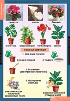 Комплект таблиц. Окружающий мир 1 класс. - fgospostavki.ru - Тамбов