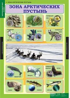 Комплект таблиц. Окружающий мир 4 класс. - fgospostavki.ru - Тамбов