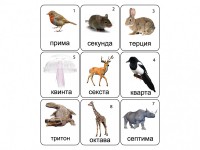 Набор магнитных карточек по музыке "Животные" (9 штук) - fgospostavki.ru - Тамбов