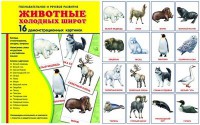 Демонстрационные карточки "Животные холодных широт" - fgospostavki.ru - Тамбов