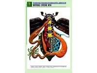 Рельефная таблица "Внутреннее строение жука" (формат А1, матовое ламинирование) - fgospostavki.ru - Тамбов