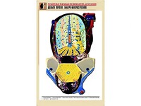 Рельефная таблица "Долька печени. Макро-микростроение" (формат А1, матовое ламинирование) - fgospostavki.ru - Тамбов