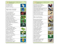 Комплект карточек (10) "Обучающий калейдоскоп. Природа" - fgospostavki.ru - Тамбов