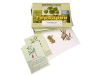 Гербарий "Для начальной школы" (30 видов, с иллюстрациями) - fgospostavki.ru - Тамбов