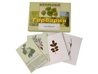 Гербарий "Деревья и кустарники" (22 вида, с иллюстрациями) - fgospostavki.ru - Тамбов