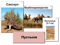 Модель-аппликация "Природные зоны России" (ламинированная) - fgospostavki.ru - Тамбов