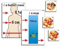 Модель-аппликация "Явление радиоактивности" (ламинированная) - fgospostavki.ru - Тамбов