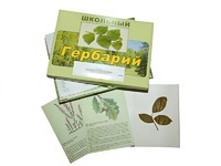Гербарий "Дикорастущие растения" (30 видов, с иллюстрациями) - fgospostavki.ru - Тамбов