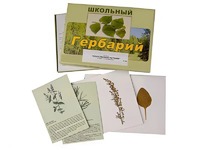 Гербарий "Лекарственные растения" (22 вида с иллюстрациями) - fgospostavki.ru - Тамбов