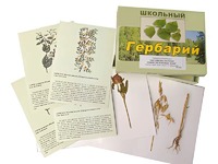 Гербарий "Систематика растений. Семейство Бобовые. Злаки" (раздаточный) - fgospostavki.ru - Тамбов