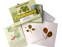 Гербарий "Систематика растений. Семейство Розоцветные" (раздаточный) - fgospostavki.ru - Тамбов