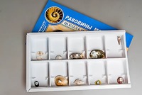 Коллекция "Раковины моллюсков" - fgospostavki.ru - Тамбов