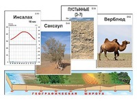Модель-аппликация "Природные зоны" - fgospostavki.ru - Тамбов