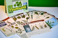 Гербарий к курсу основ общей биологии - fgospostavki.ru - Тамбов