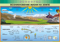 Таблица "Возникновение жизни на земле" (100х140 сантиметров, винил) - fgospostavki.ru - Тамбов