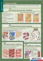 Комплект таблиц. Биология 8-9 класс. Человек. - fgospostavki.ru - Тамбов