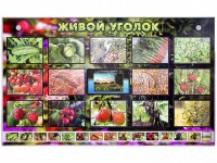 Комплект оборудования "Живой уголок" (растения) с тифлопереводом и сурдокомментариями - fgospostavki.ru - Тамбов