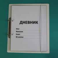 Дневник школьника (с полным набором карточек) - fgospostavki.ru - Тамбов