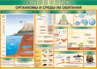 Таблица "Организмы и среды их обитания" (100х140 сантиметров, винил) - fgospostavki.ru - Тамбов
