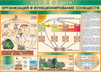 Таблица "Организация и функционирование сообществ" (100х140 сантиметров, винил) - fgospostavki.ru - Тамбов