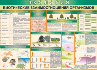Таблица "Биотические взаимоотношения организмов" (100х140 сантиметров, винил) - fgospostavki.ru - Тамбов