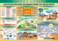 Таблица "Антропогенное воздействие на биосферу" (100х140 сантиметров, винил) - fgospostavki.ru - Тамбов