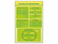 Стенды "Схемы по экономике" - fgospostavki.ru - Тамбов