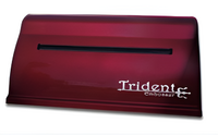 Принтер для печати рельефно-точечным шрифтом Брайля Trident - fgospostavki.ru - Тамбов