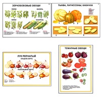 Плакаты ПРОФТЕХ "Ассортимент овощных культур" (12 пл, винил, 70х100) - fgospostavki.ru - Тамбов