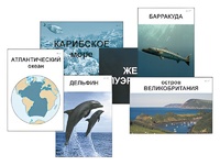 Модель-аппликация "Океаны. Знакомство" (ламинированная) - fgospostavki.ru - Тамбов