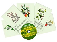 Интерактивный наглядный комплекс "Гербарий "Для начальной школы" - fgospostavki.ru - Тамбов