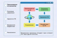 Интерактивные курсы. Информатика 10 класс . Базовый. - fgospostavki.ru - Тамбов