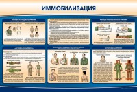 Стенд "Иммобилизация" - fgospostavki.ru - Тамбов